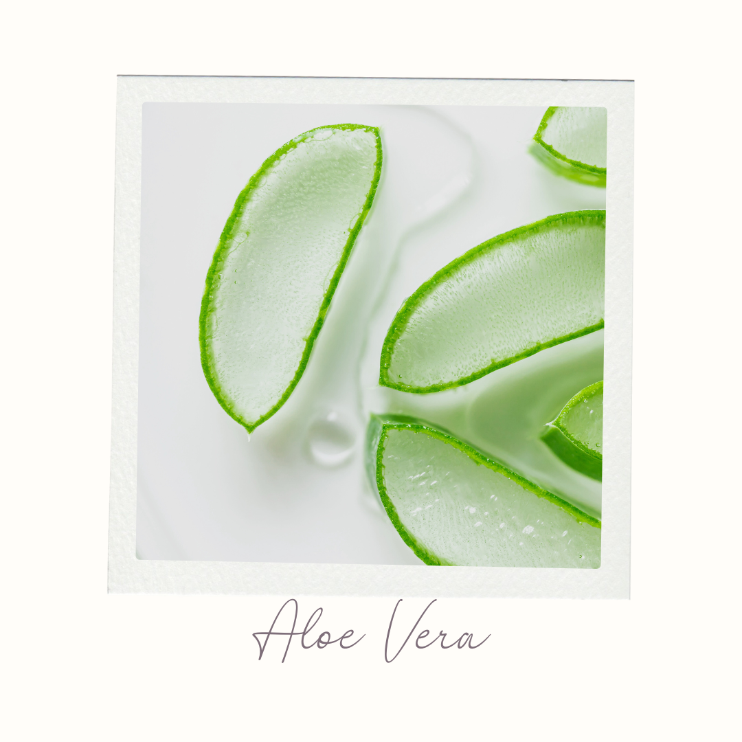 Soft Again Moisturising Conditioner