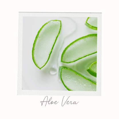 Soft Again Moisturising Conditioner